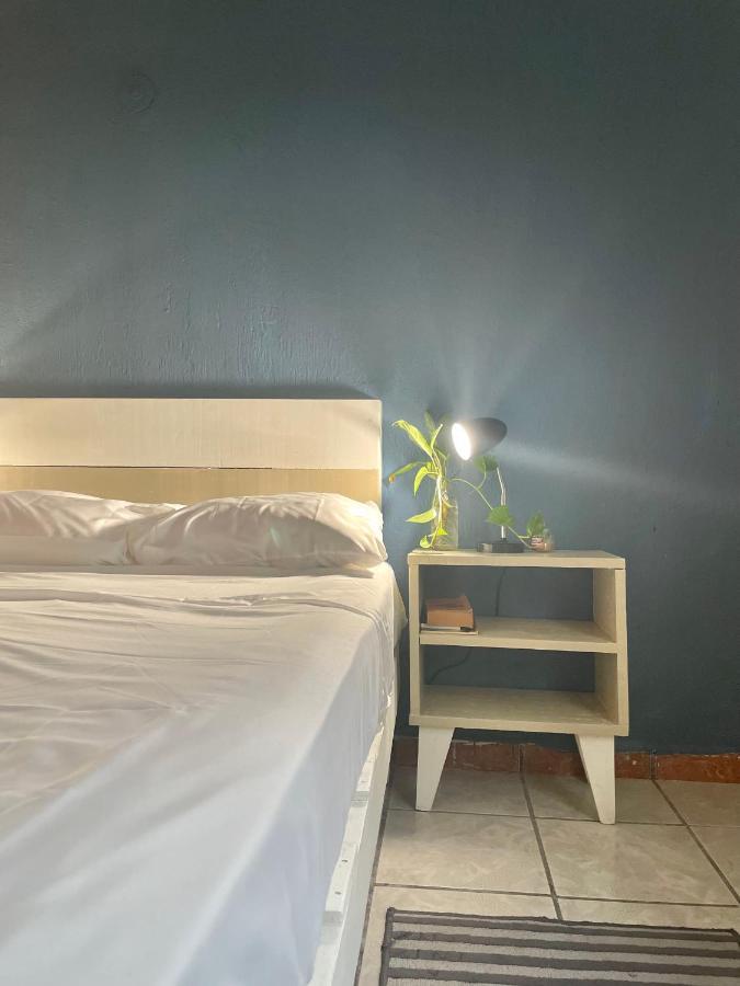Anana Coliving Hotel Playa del Carmen Buitenkant foto
