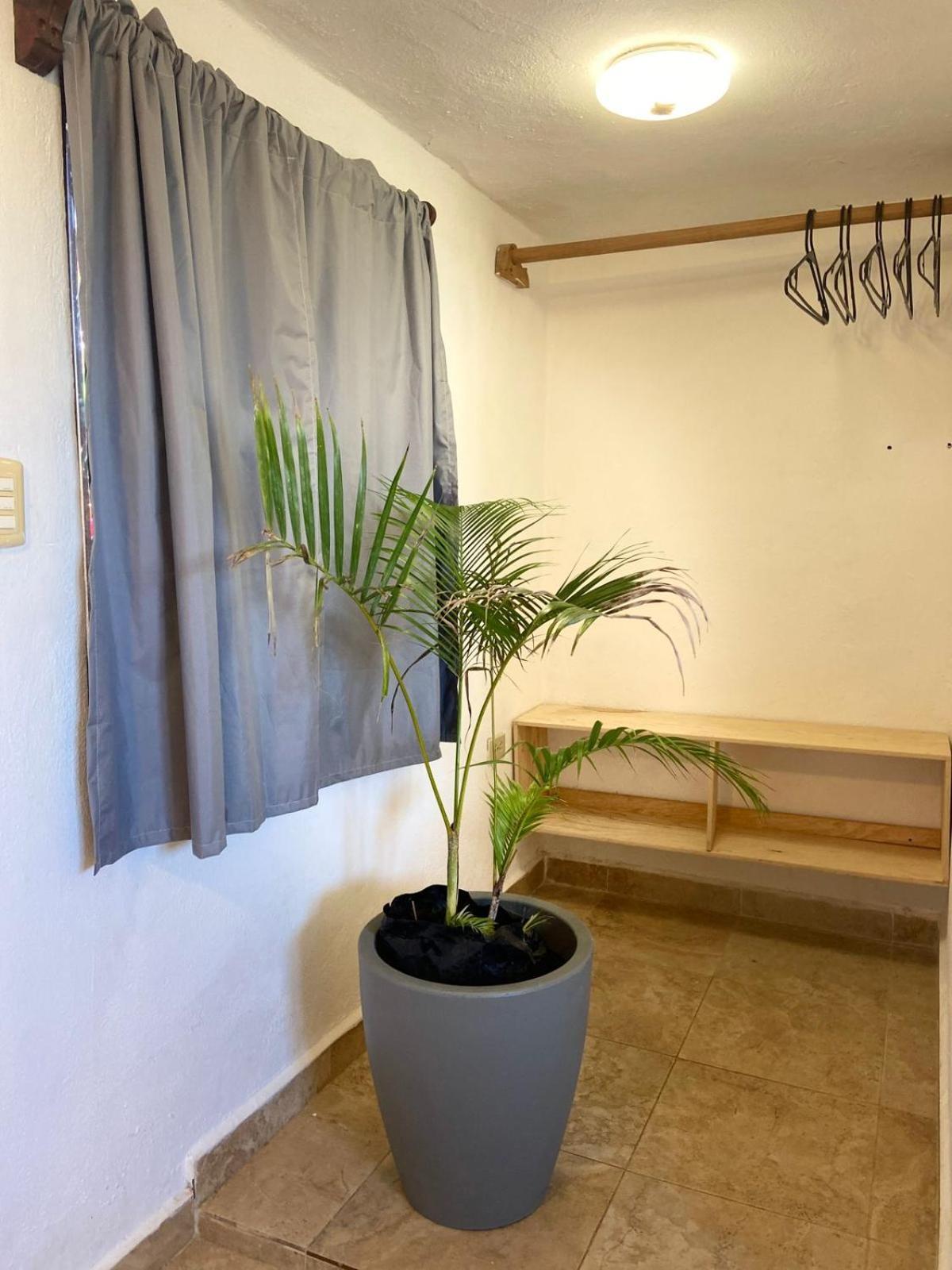 Anana Coliving Hotel Playa del Carmen Buitenkant foto