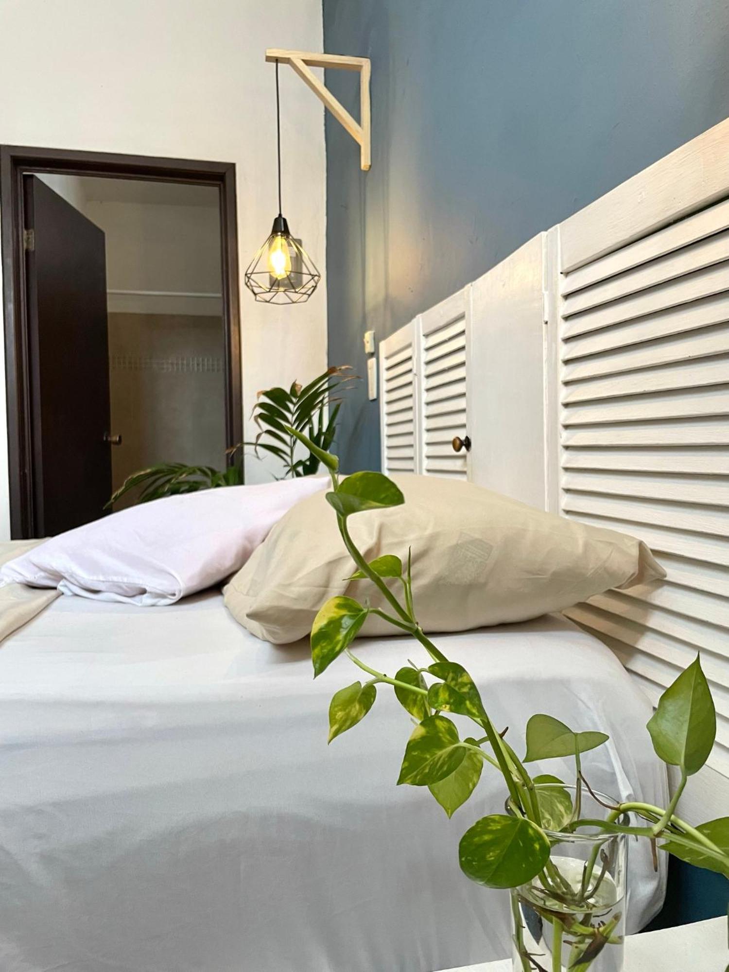 Anana Coliving Hotel Playa del Carmen Buitenkant foto
